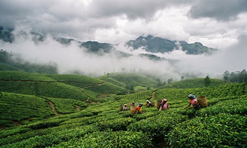 Munnar