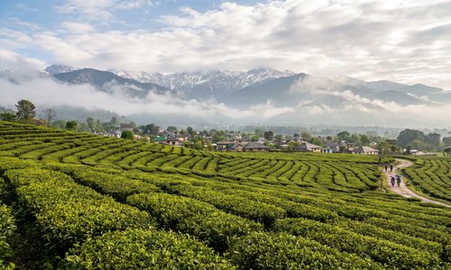 Palampur