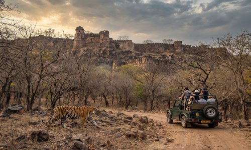 Sawai Madhopur