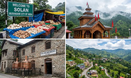 Solan